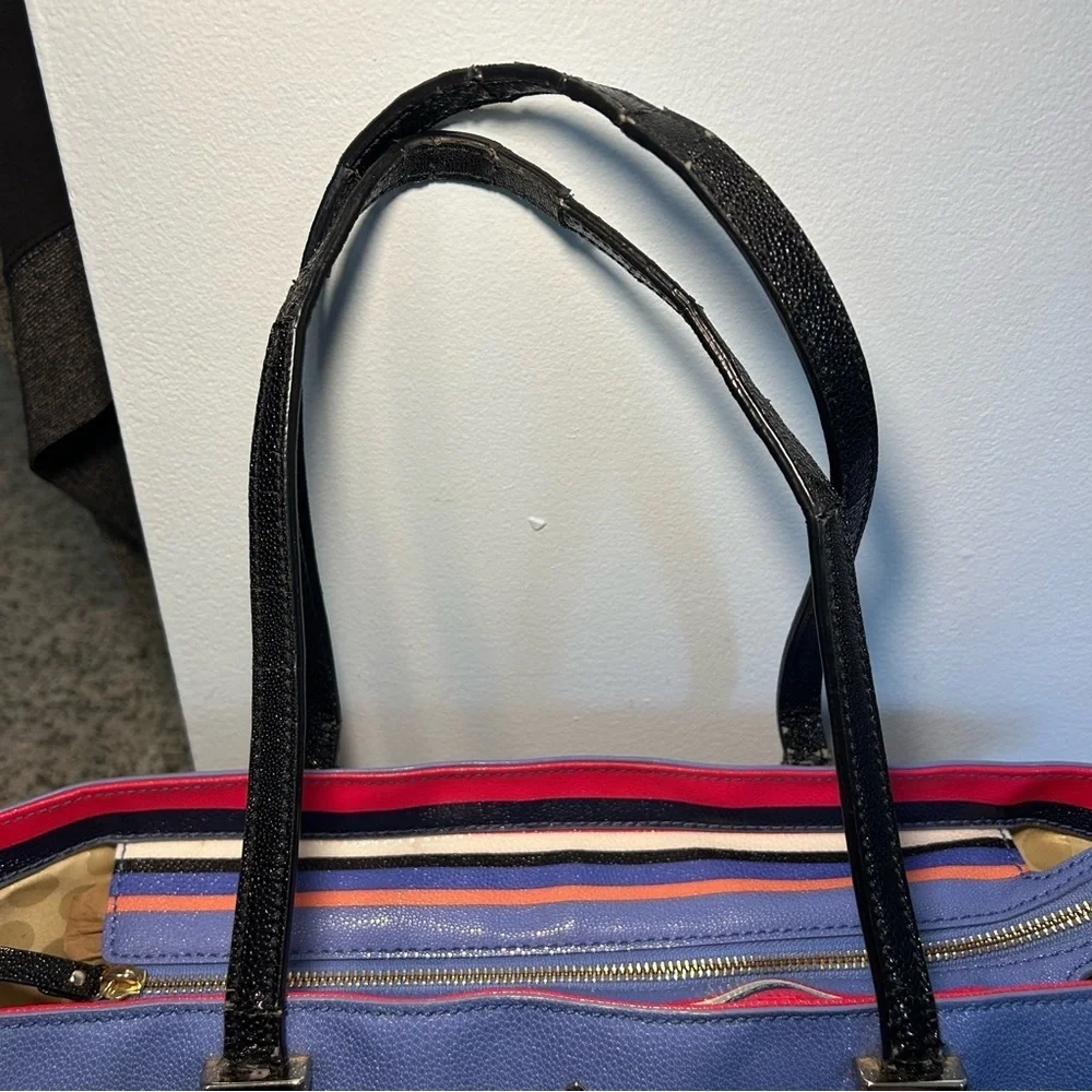 Kate Spade New York Cedar Multi-Colored Stripe Tote Bag